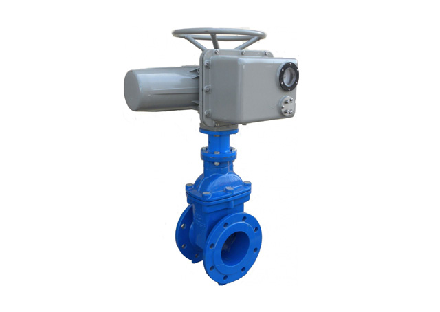 Задвижка с электроприводом 30лс941нж DN 50